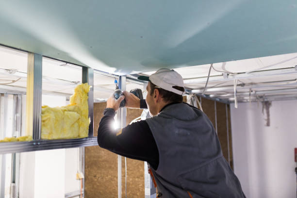 Eco-Friendly or Green Insulation Solutions in Medulla, FL